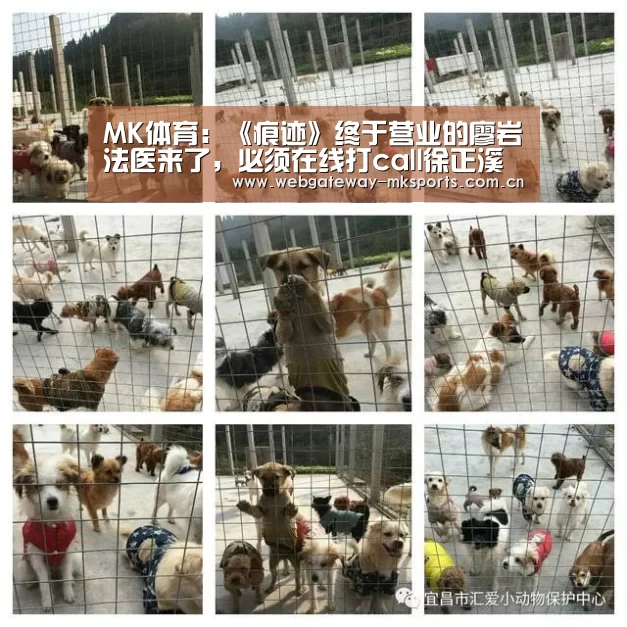 MK体育官网