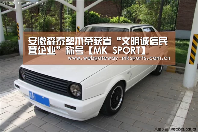 安徽森泰塑木荣获省“文明诚信民营企业”称号【MK SPORT